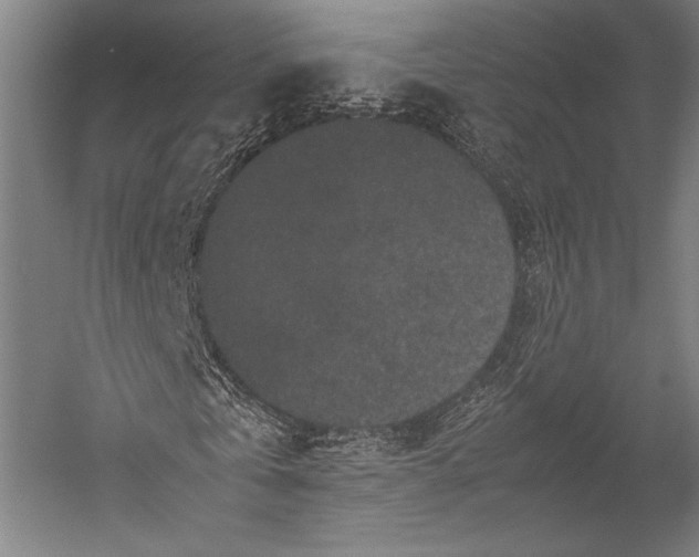 X0000053010769200507221312