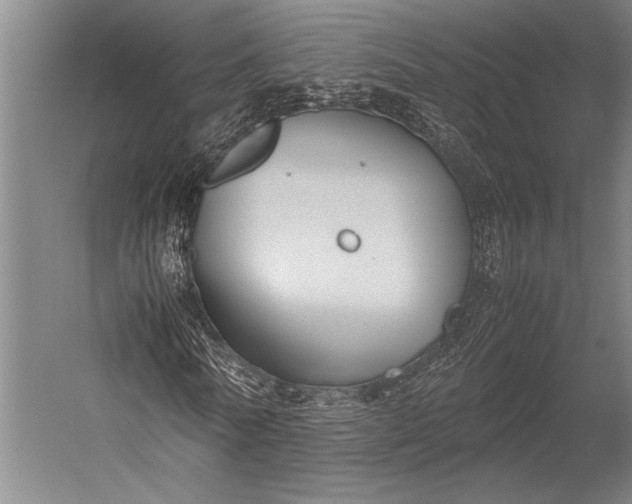 X0000053010770200507221312