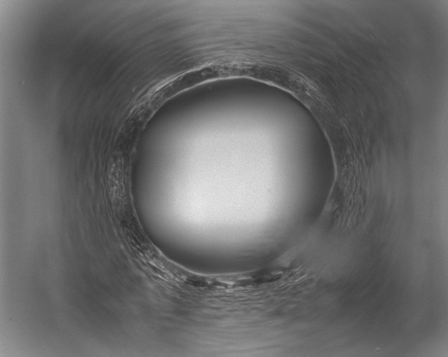 X0000053010773200507221312