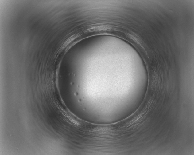 X0000053010778200507221312