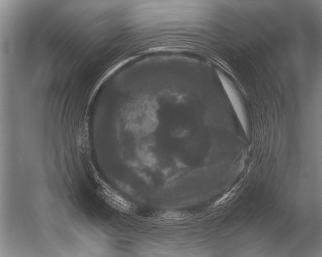 X0000053010779200507221312