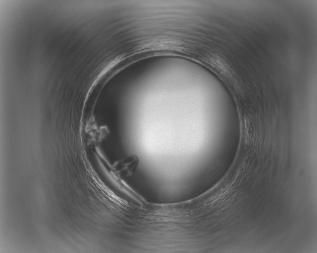 X0000053010780200507221312