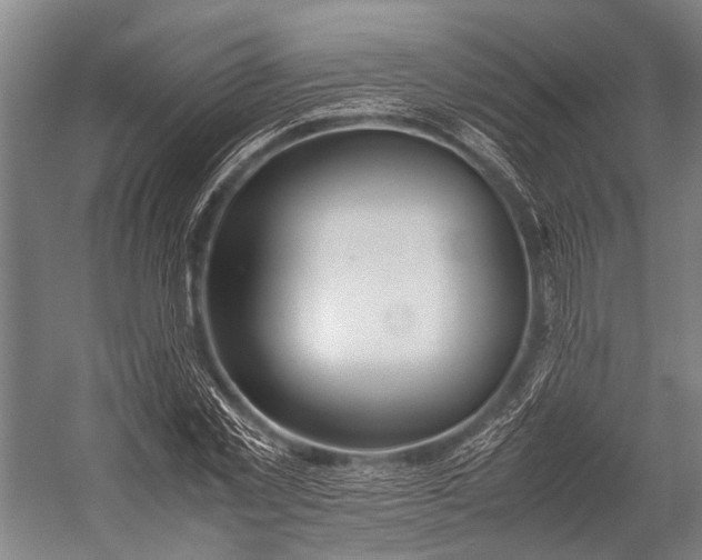 X0000053010781200507221312