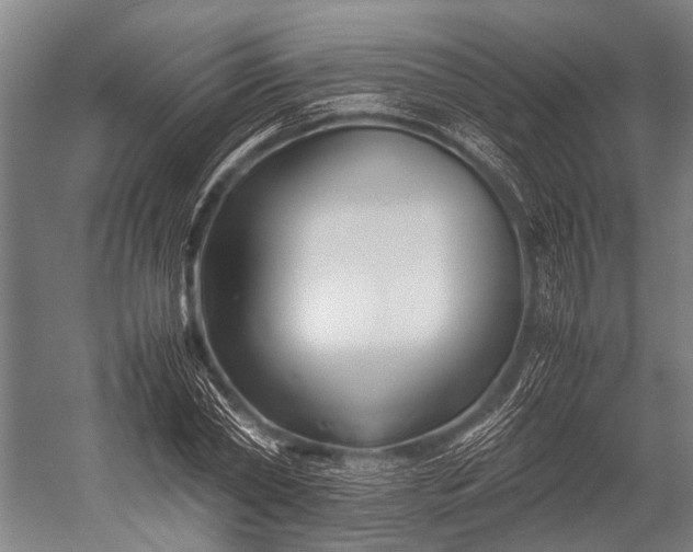 X0000053010782200507221312