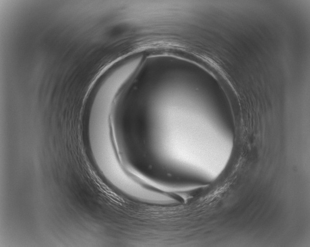 X0000053010783200507221312