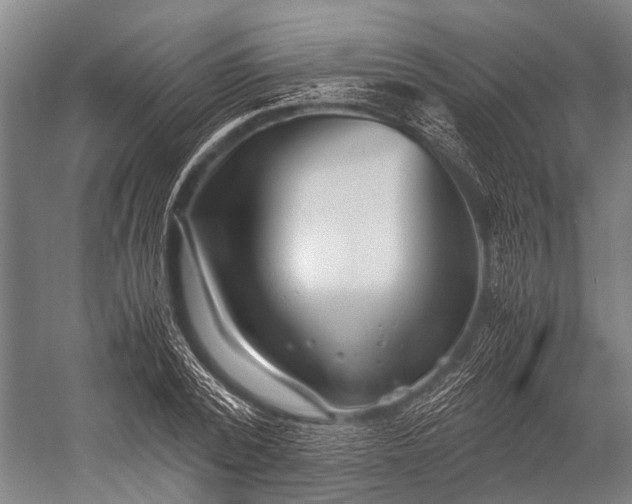 X0000053010784200507221312