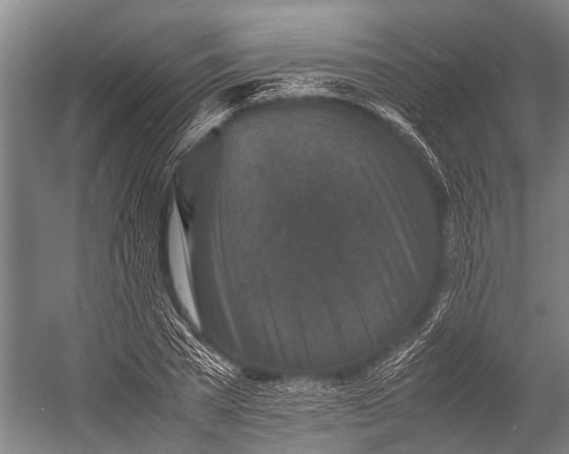 X0000053010785200507221312