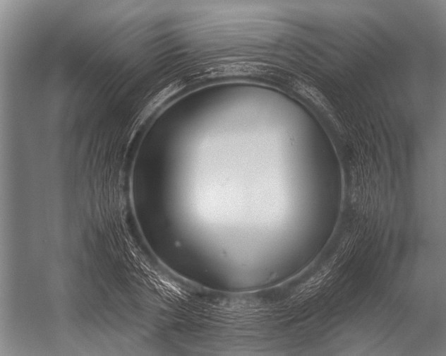 X0000053010786200507221312