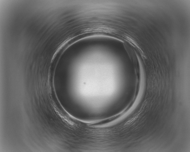 X0000053010788200507221312