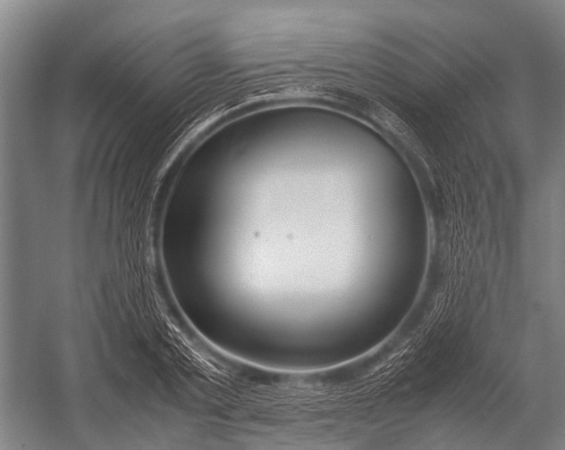 X0000053010789200507221312