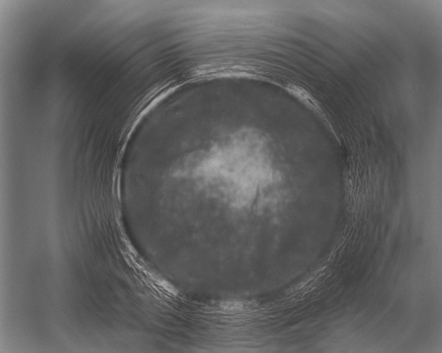 X0000053010790200507221312