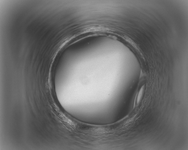 X0000053010791200507221312