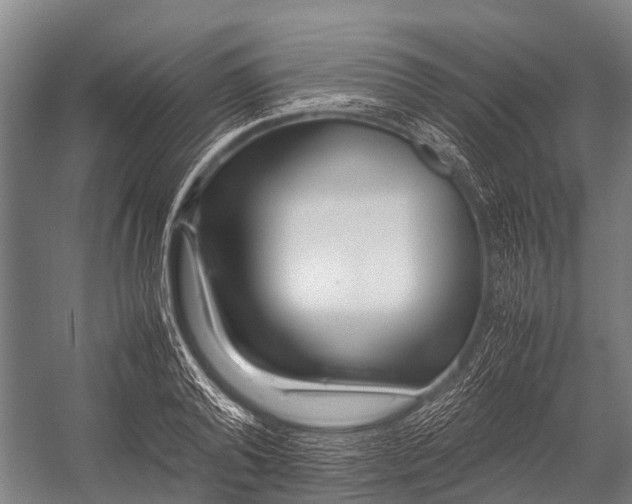 X0000053010792200507221312