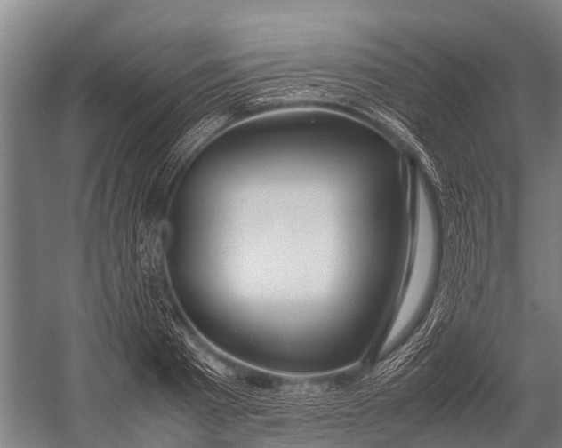 X0000053010793200507221312