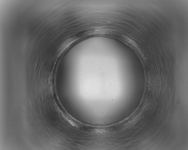 X0000053010794200507221312