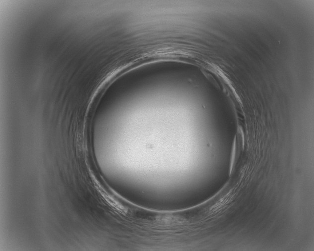 X0000053010795200507221312