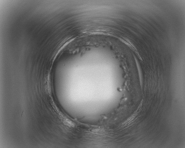 X0000053010798200507221312