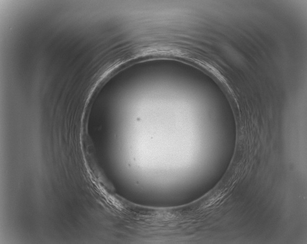 X0000053010799200507221312