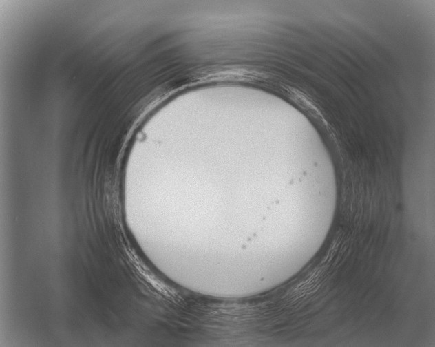 X0000053010800200507221312