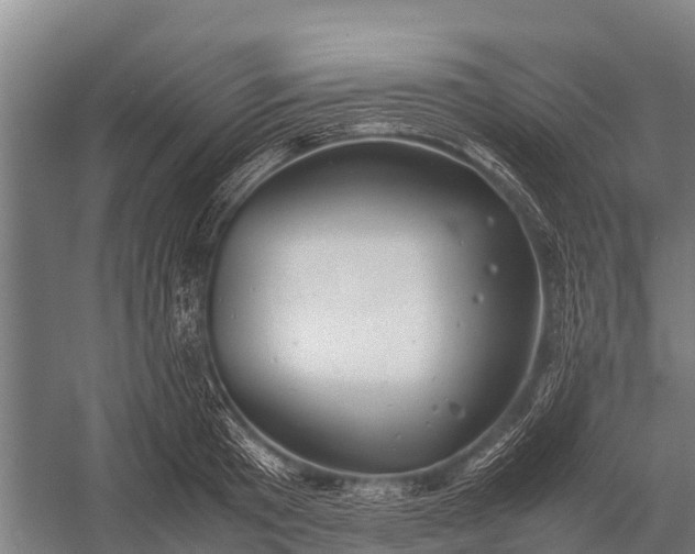 X0000053010801200507221312