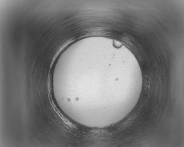 X0000053010804200507221312