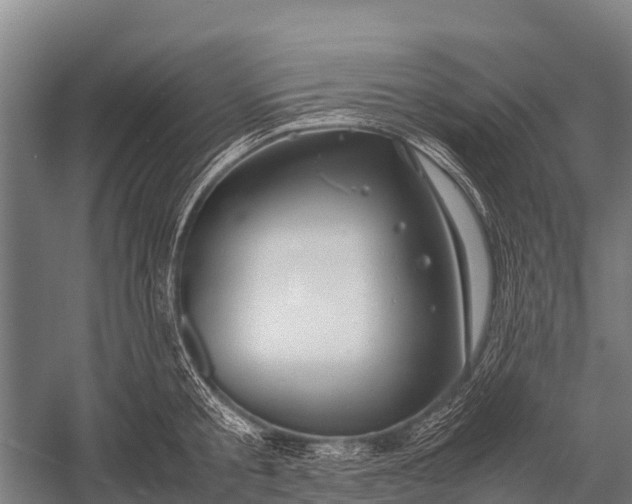 X0000053010805200507221312