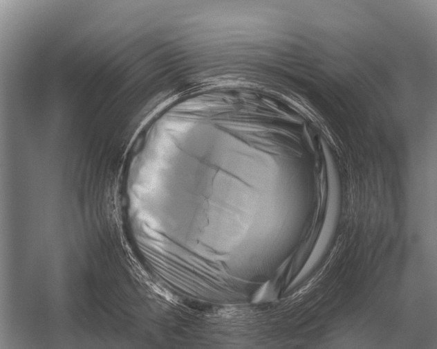 X0000053010806200507221312