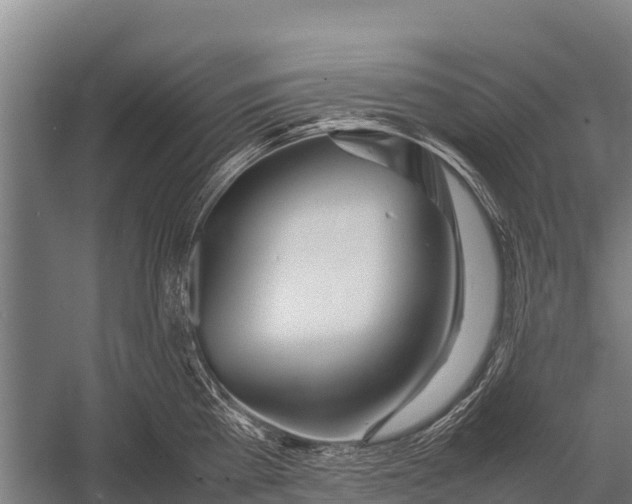 X0000053010809200507221312