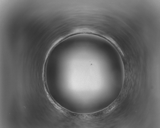 X0000053010815200507221311