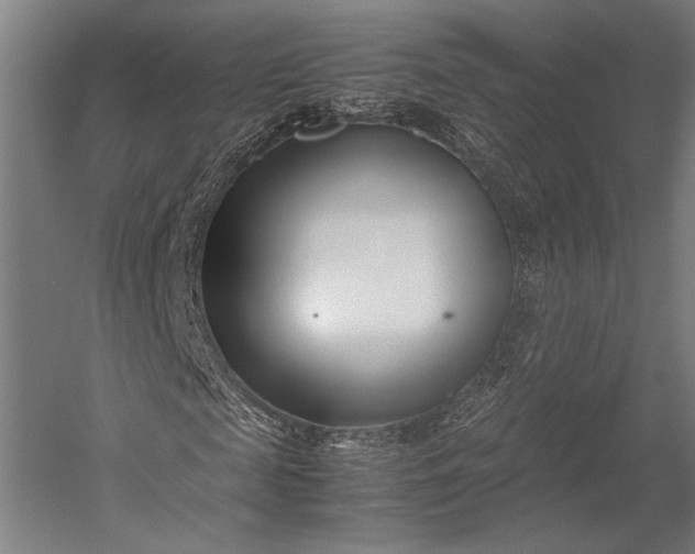 X0000053010817200507221311