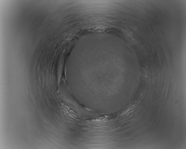 X0000053010818200507221311