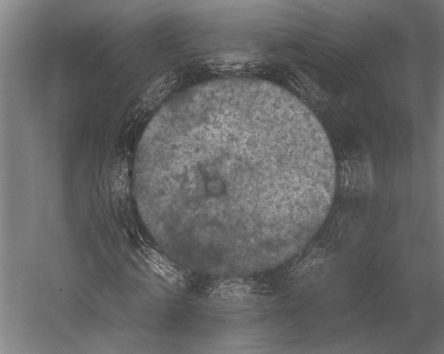 X0000053010820200507221311