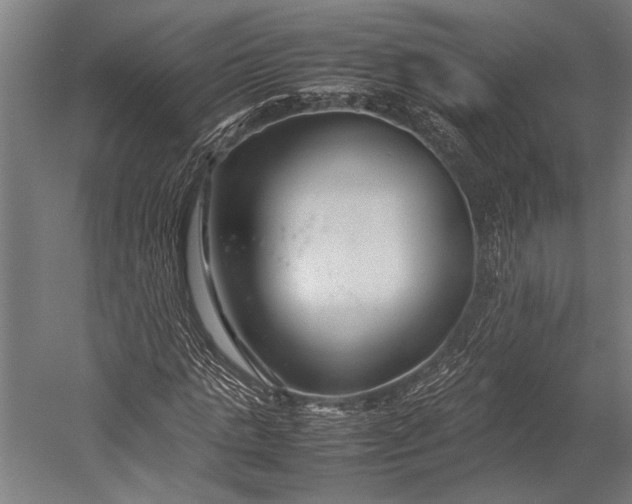 X0000053010821200507221311