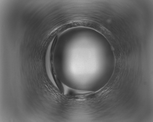 X0000053010822200507221311