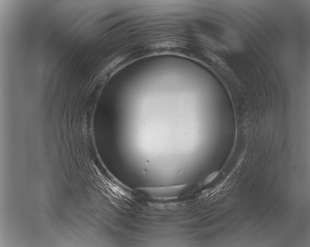 X0000053010825200507221311