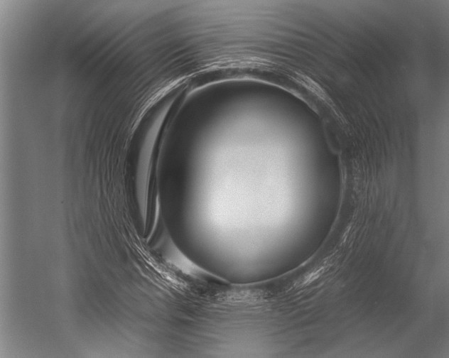 X0000053010826200507221311