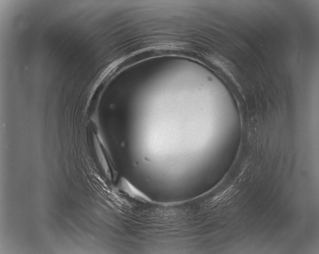 X0000053010829200507221311