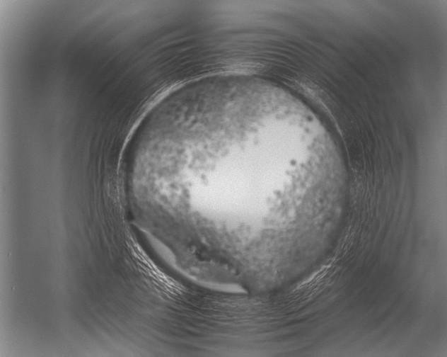 X0000053010835200507221311