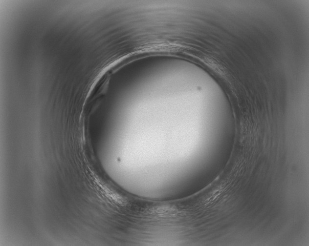 X0000053010838200507221311