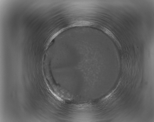 X0000053010842200507221311