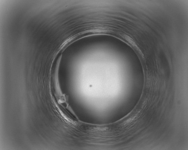 X0000053010845200507221311