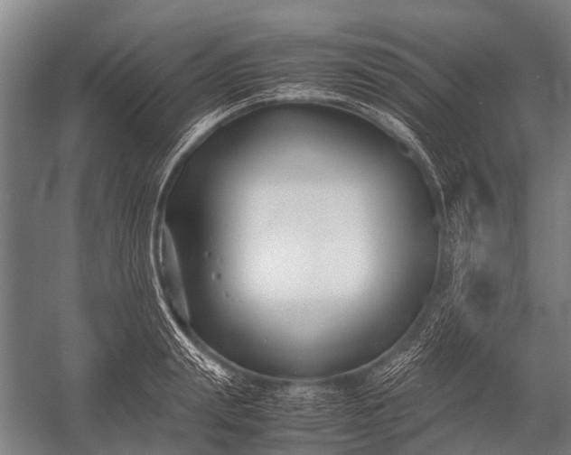 X0000053010847200507221311