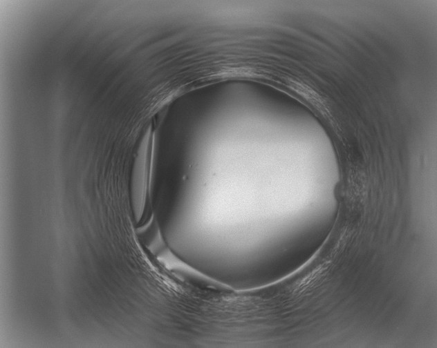 X0000053010849200507221311