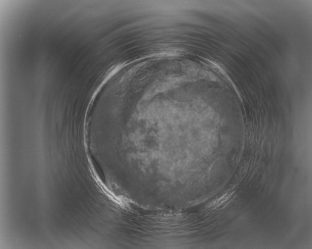 X0000053010851200507221311