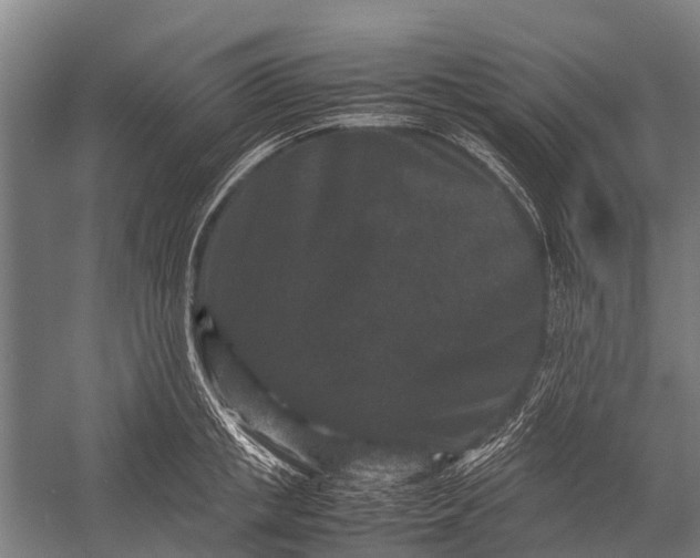 X0000053010853200507221311