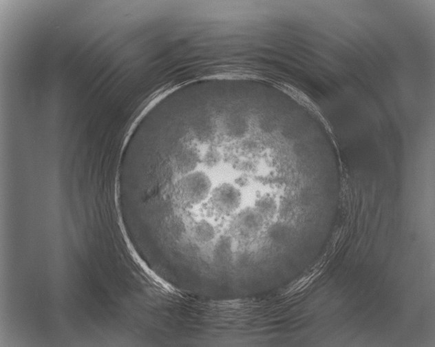 X0000053010855200507221311