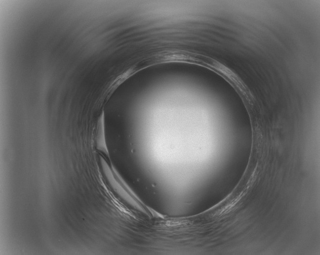 X0000053010857200507221311