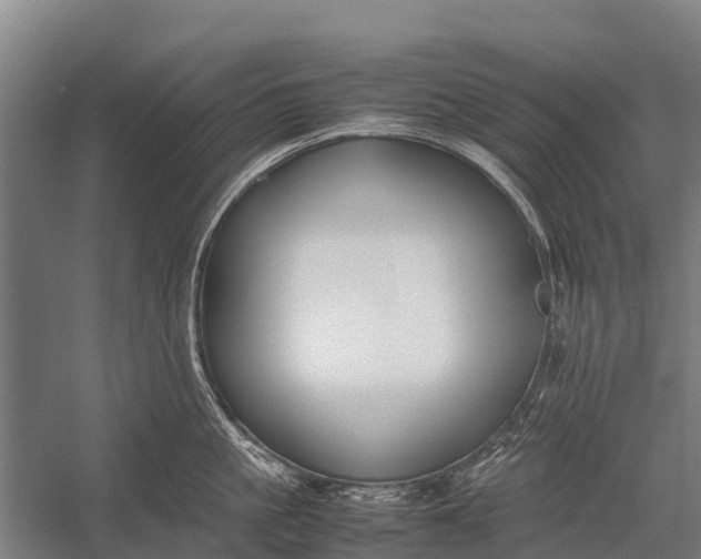 X0000053010861200507221311