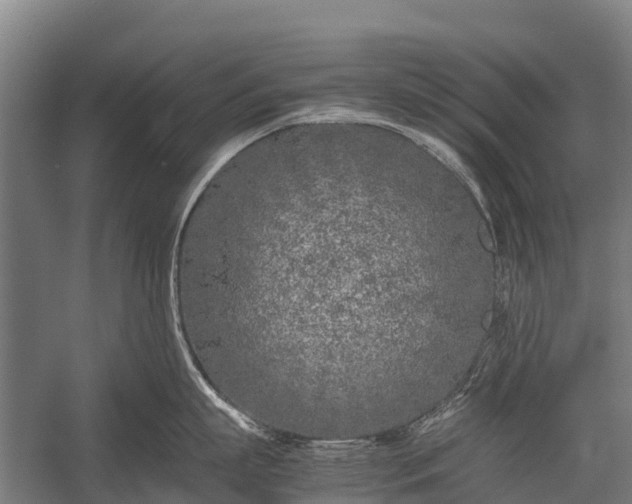 X0000053010863200507221311