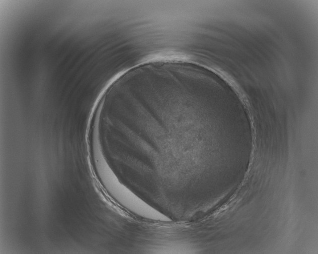 X0000053010864200507221311